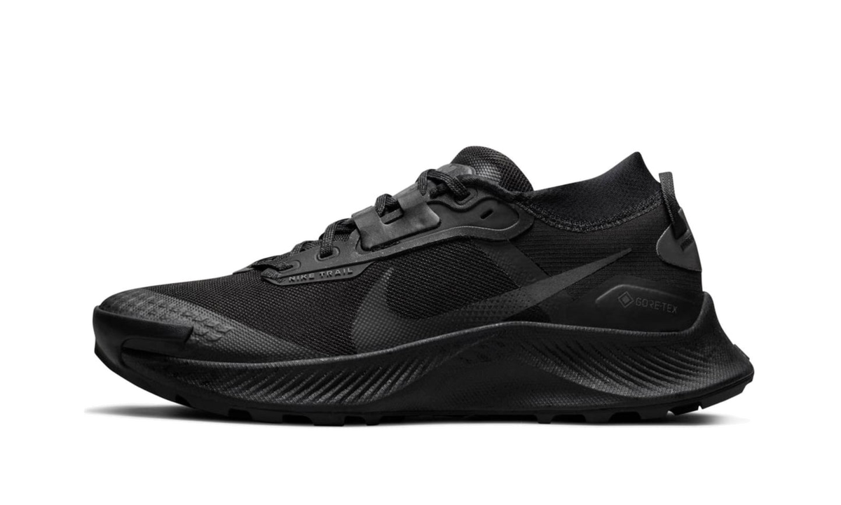 Pegasus Trail 3 Gore-Tex Wmns"Black" DC8794 001