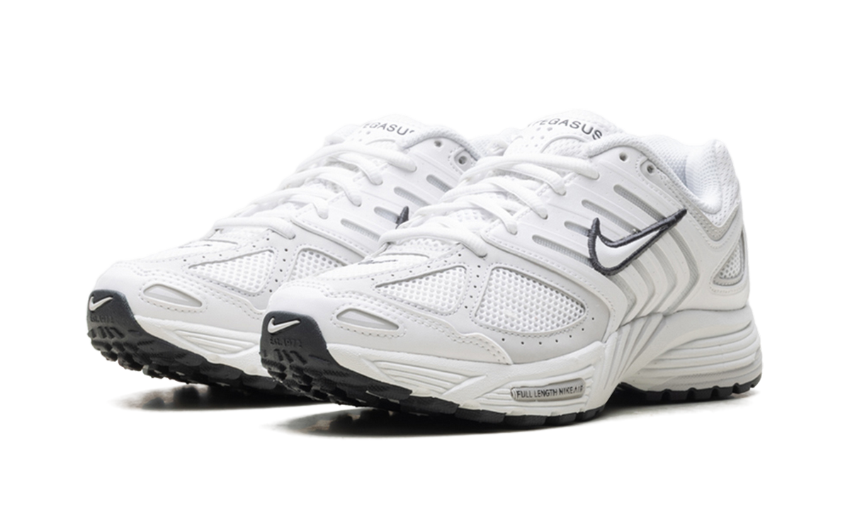 Air Pegasus 2005 WMNS"Summit White Photon Dust" HQ5718 103