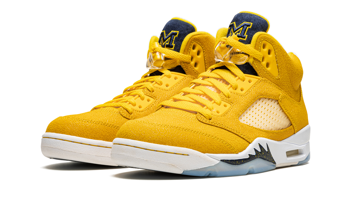5 Retro PE "Michigan" DJ4954 997021