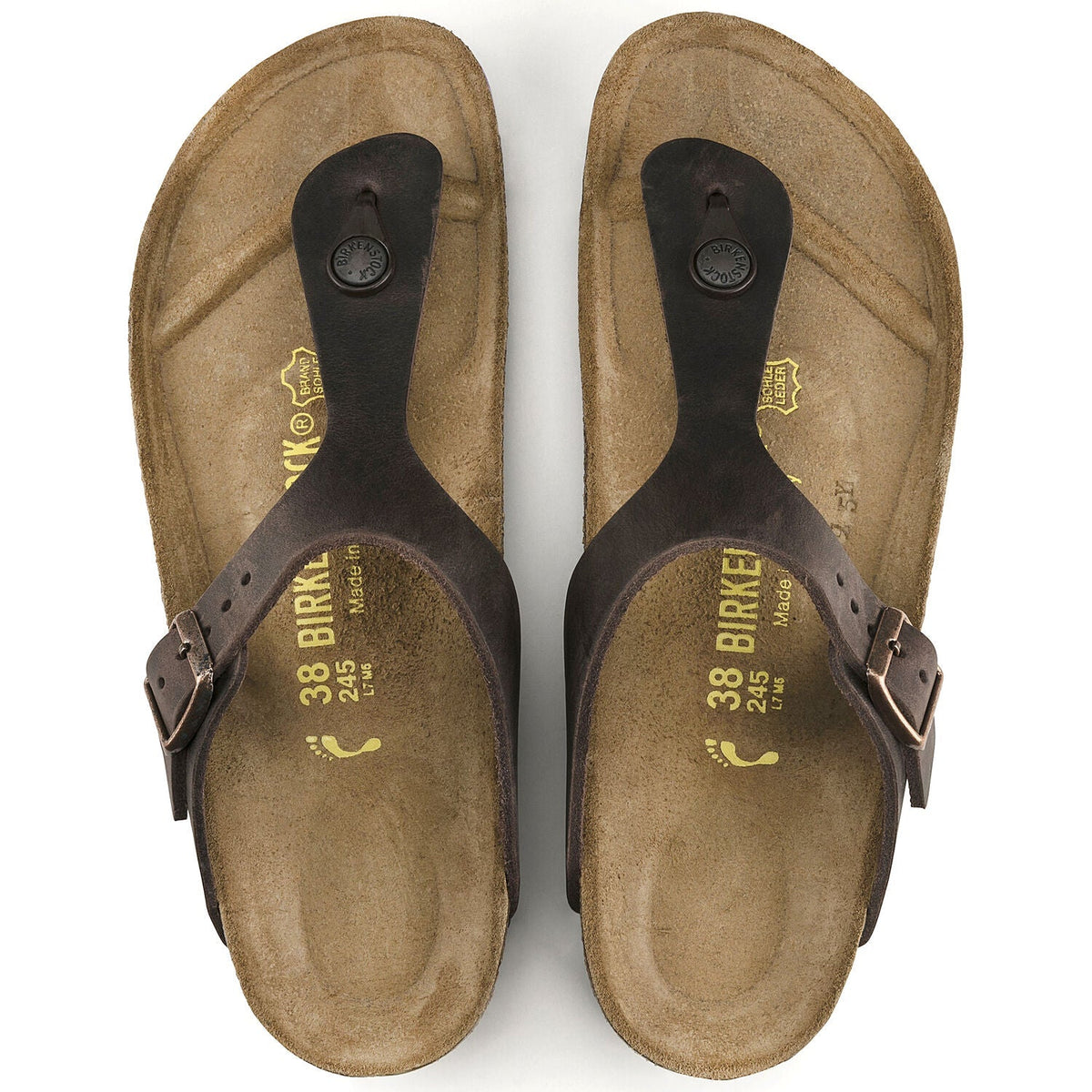 Gizeh Oiled Leather Classic Footbed Sandal in Habana