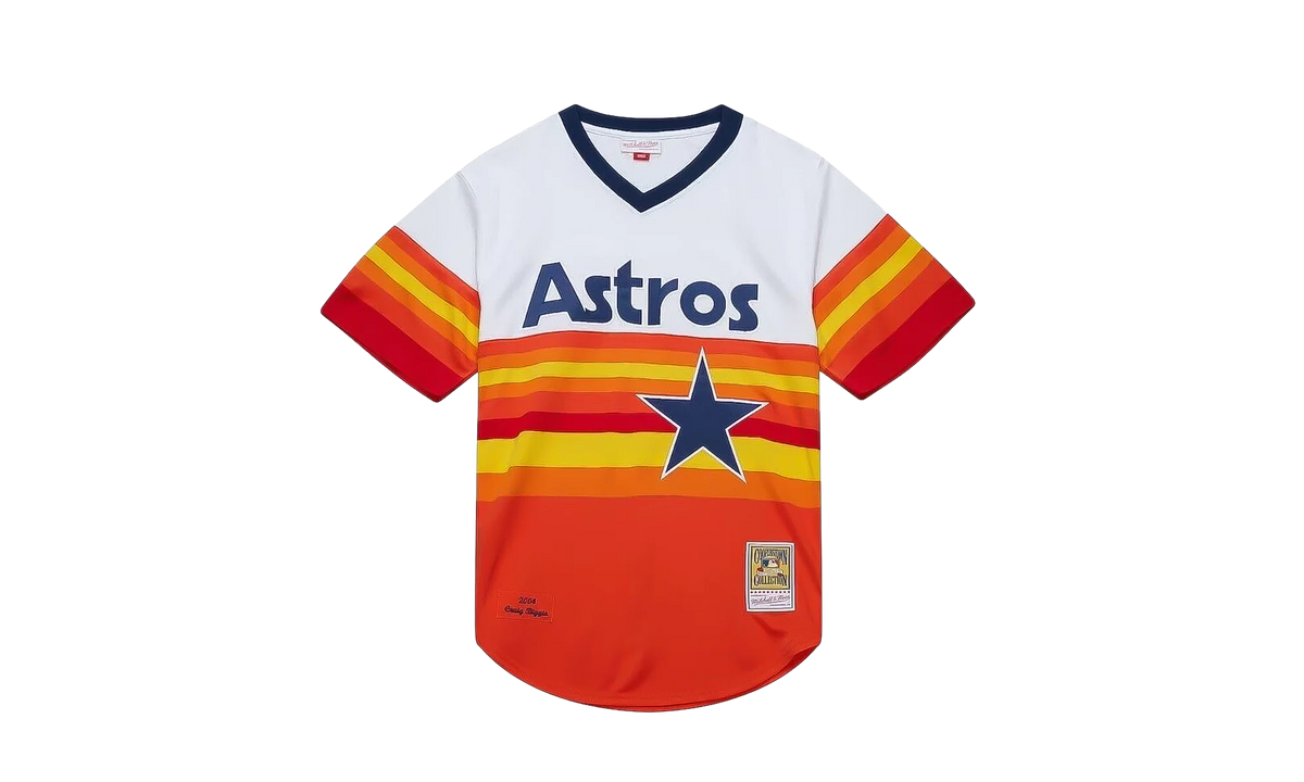 MLB Craig Biggio Alternate Jersey "2004 Houston Astros - White" AJY17186 HAS04CBGWHIT