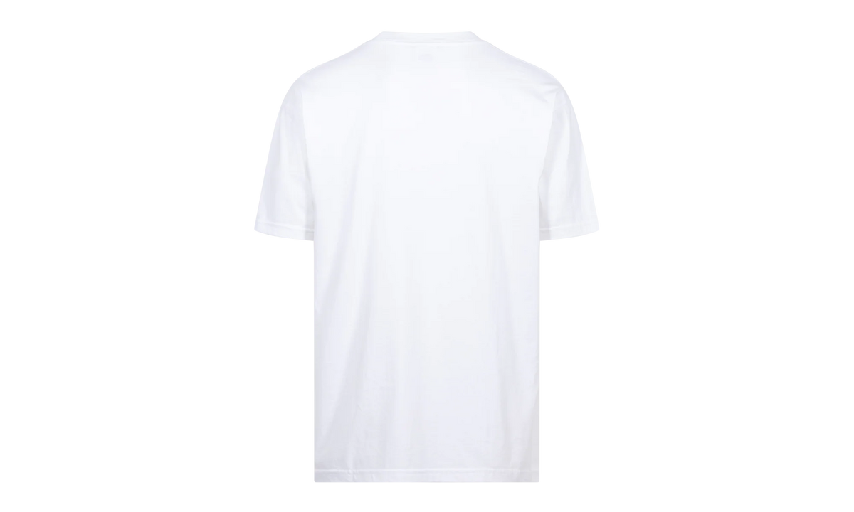 Bandana Box Logo Tee "FW19" SU8604