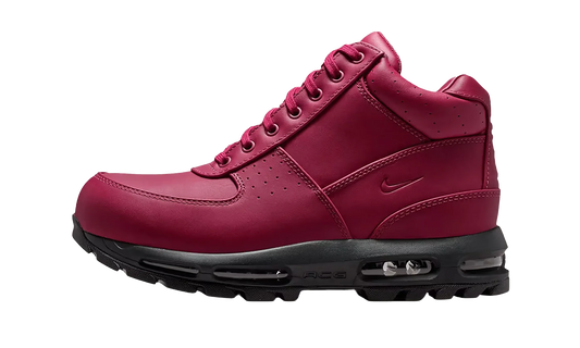 Nike Air Max Goadome "DMV" IQ0610 633