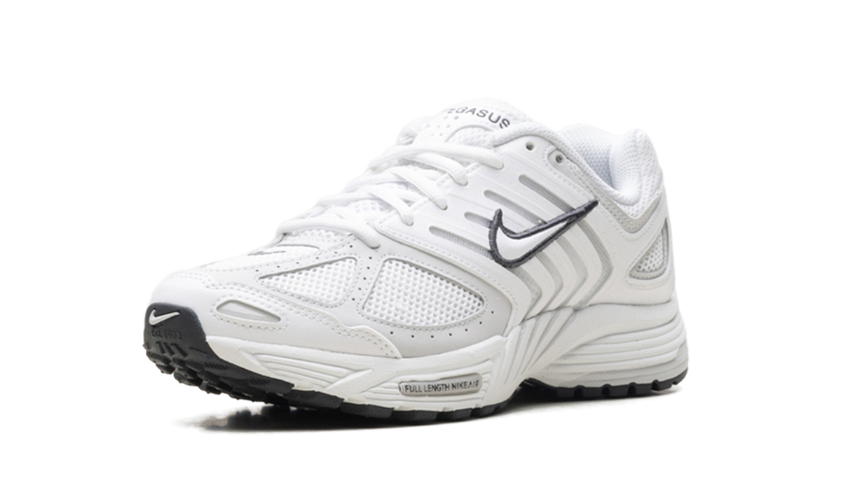 Air Pegasus 2005 WMNS"Summit White Photon Dust" HQ5718 103